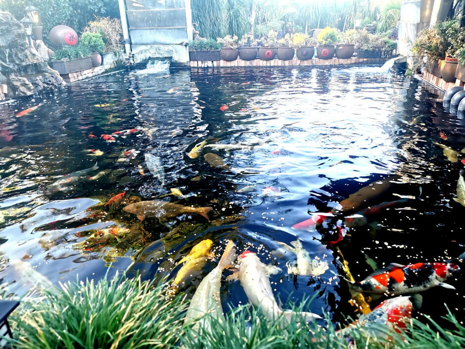 DeVosRus Guesthouse | Kathu